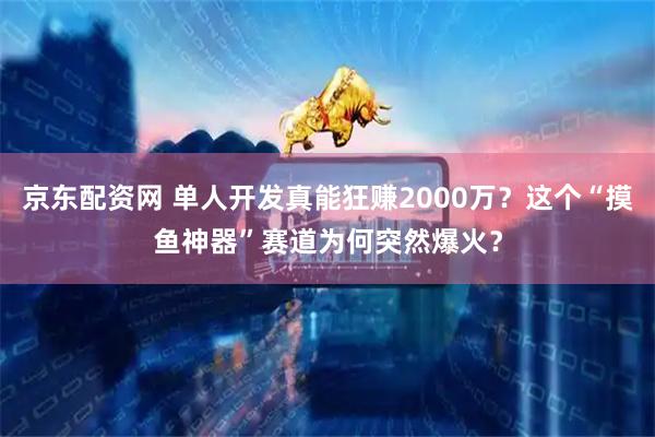 京东配资网 单人开发真能狂赚2000万？这个“摸鱼神器”赛道为何突然爆火？