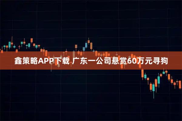 鑫策略APP下载 广东一公司悬赏60万元寻狗