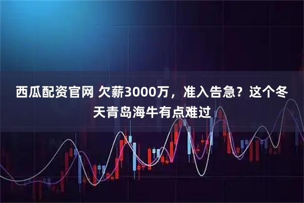 西瓜配资官网 欠薪3000万,准入告急?这个冬天青岛海牛有点难过